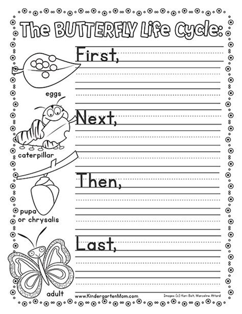 Butterfly Life Cycle Printables Kindergarten Mom