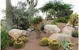 Rocks For Landscaping In Phoenix Photos