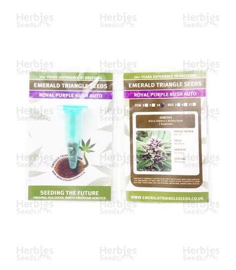 Royal Purple Kush Auto Emerald Triangle Seeds Cannabis Samen Zu
