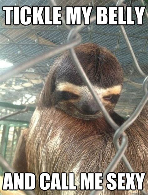 Tickle My Belly And Call Me Sexy Creepy Sloth Quickmeme