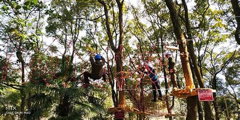 Complete voracious canopy challenges with our maps. Ready to Try Canopy Challenge Course?