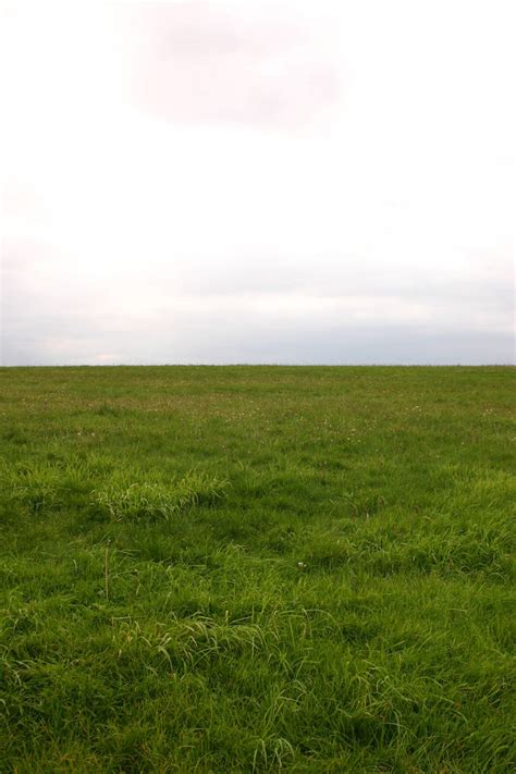 Grassy Field By Foxstox On Deviantart