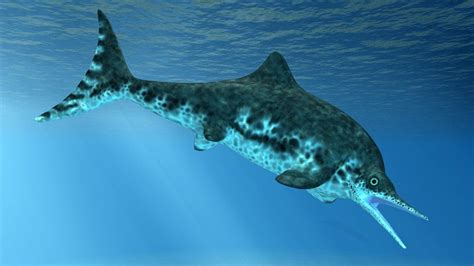 New Species Of Ancient Four Legged Whale Discovered In Egypt Bbc News