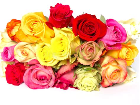 Colorful Roses Beautiful Flower Bouquet Stock Photos Image 18559103