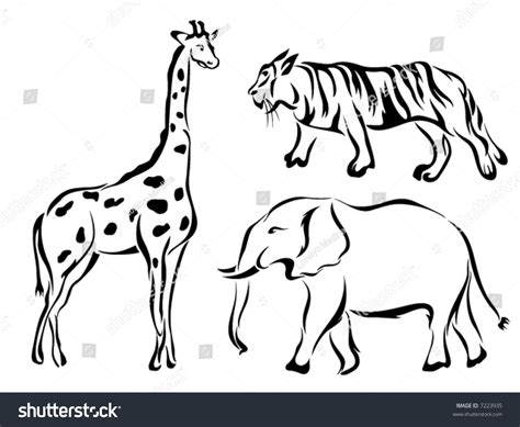 Download Line Art Vector Animal Series Zoosafari Stock Vector 7223935 - Shutterstock