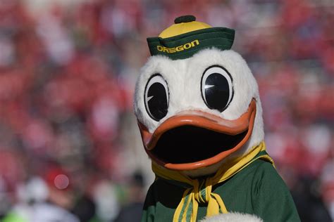 Oregons Duck Mascot Isnt Named Puddles But Thats An Excellent