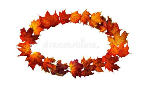 Colorful Autumn Leaves Isolated On White Background Border Frame Of