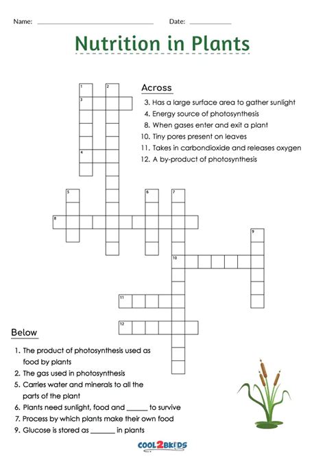 Free Printable Plant Crossword Puzzles