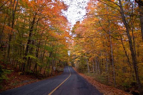 11 Of The Most Scenic Country Roads To Drive In Illinois
