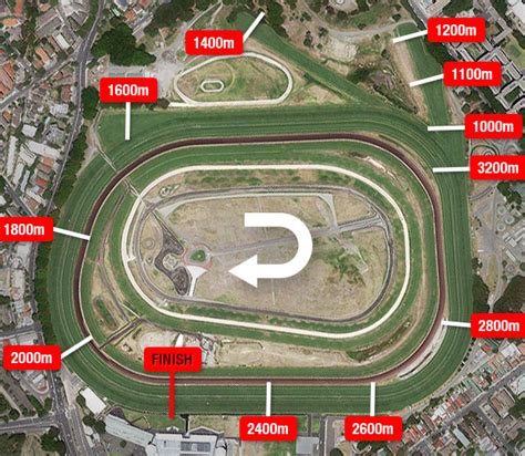 Randwick Racecourse Randwick Track Map Info On Race Track