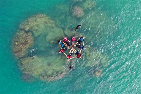 Snorkeling Dan Freediving Di Pulau Lemukutan Siti Mustiani
