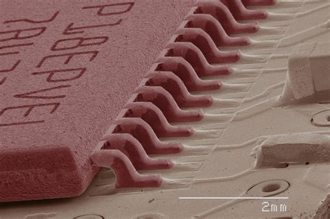 Fascinating Images Of Everyday Objects Under A Microscope Readers Digest