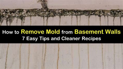 We did not find results for: 7 Quick Ways to Remove Mold from Basement Walls in 2020 | Mold remover, Basement walls, Mold in ...