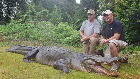 Mississippi Wildlife Dept Accepting Alligator Hunting Applications
