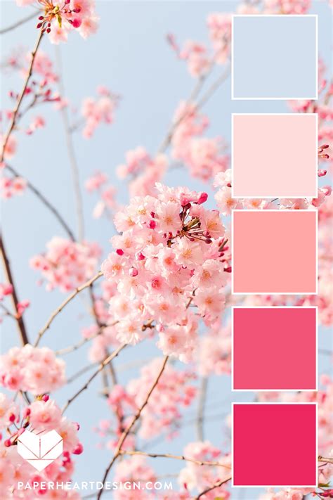 Check out our be mine heart selection for the very best in unique or custom, handmade pieces from our shops. Color Palette: Spring Cherry Blossoms — Paper Heart Design ...