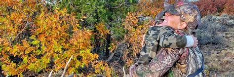 They are far less nomadic than their rocky mountain cousins and will follow somewhat of a pattern until hunting pressure drives them elsewhere, just like a whitetail. A Family Affair - DIY Colorado Archery Elk Hunt - Colorado Outdoors Online