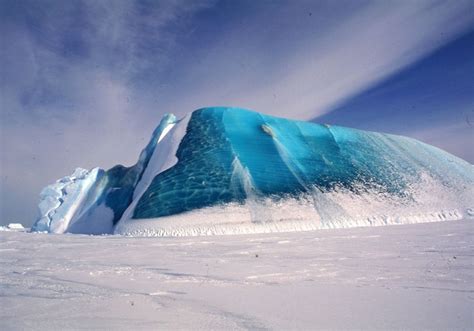 Antarcticas Bizarre Green Icebergs Are More Than A Quirk Of The