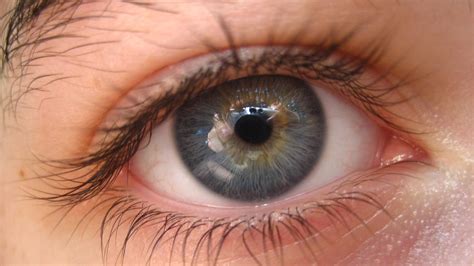 How Rare Are Gray Eyes