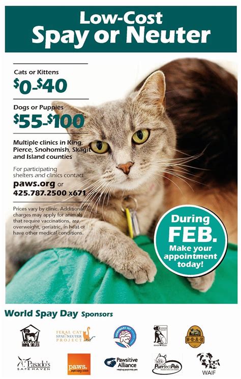 Cats receive an injectable pain medication that lasts 3 days. Humane Society of Skagit Valley: World Spay Day is ...