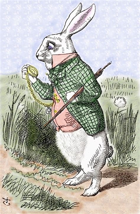 Alice In Wonderland White Rabbit Clip Art Public Domain Clip Art Photos