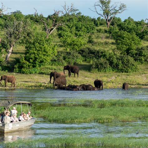 Best National Parks In Africa Best African Safari Countries