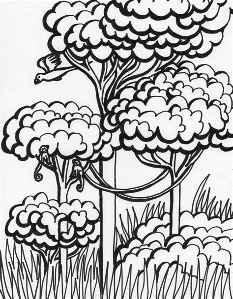 Rainforest Coloring Pages Free Color On Pages Coloring