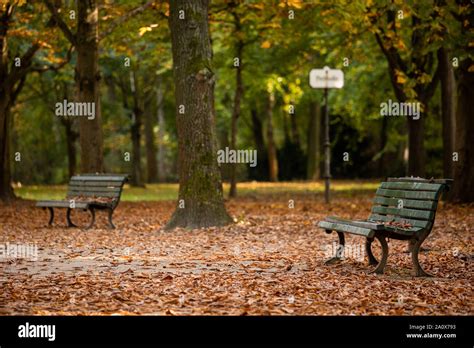 Autumn In The Tiergarten Park In Berlin Stock Photo Alamy