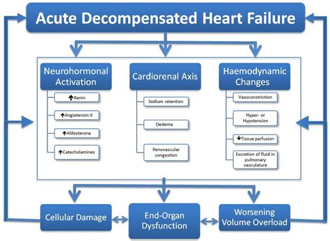 Serelaxin And Acute Heart Failure Heart