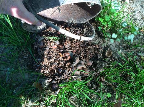 We reassess the original two pet sematary films, along with the reboot's place in the franchise. Shirley's World: A Walk Around The Yard