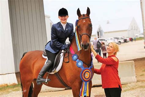 March 2019 Saddlebred Is A Champ In Both Hunter Pleasure And