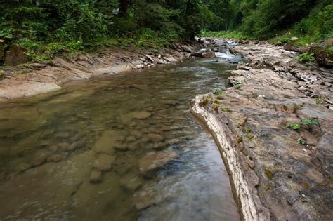 Premium Photo Mountain River Flow Through Forest Beautiful