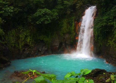 Rio Celeste Waterfall Tours And Excursions In Costa Rica