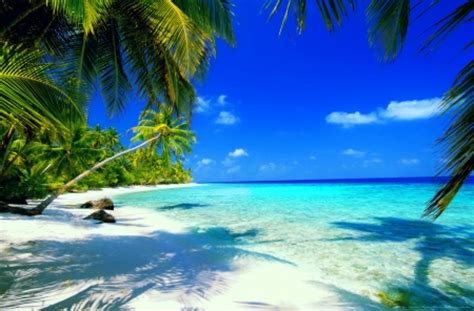 Beach paradise - Beaches & Nature Background Wallpapers on Desktop ...