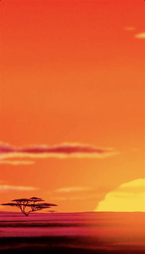 The Lion King Sunrise Lion King Sunset Hd Phone Wallpaper Pxfuel