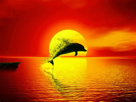 Download 1600x1200 wallpaper dolphin, dispersion, sunset, seascape, art ...