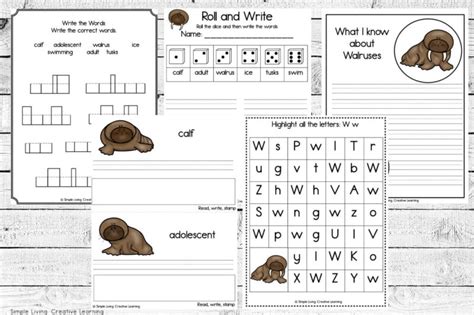 Walrus Life Cycle Printables Simple Living Creative Learning