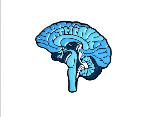 Anatomical Brain Enamel Pin Brains Pin Hard Enamel Pin Etsy