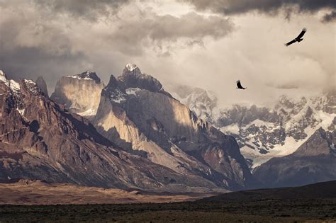 Nature Photography Landscape Birds Condors Flying Mountains