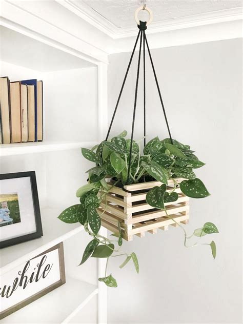 23 Incredible Diy Hanging Plants Ideas For Your Home Hanging Plants