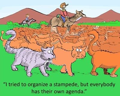 An idiom denoting a futile attempt to control or organize a class of entities which are inherently uncontrollable—as in the difficulty of attempting to command individual cats into a group (herd). Herding Cats Marketing 2 | Denver CO