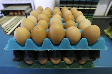 Egg Prices Reach 10 Year Lows As Production Outpaces Demand The