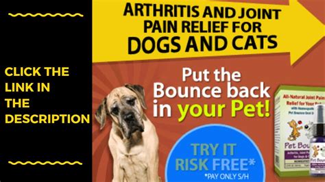 Arthritis Pain Relief For Dogs Natural How To Treat Arthritis In Dogs