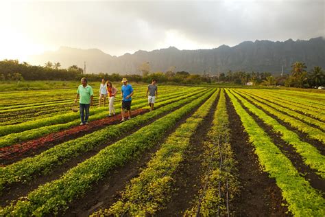 Oahu Farm Tours and Farmers Markets | Go Hawaii