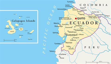 Ecuador Does Travel And Cadushi Tours
