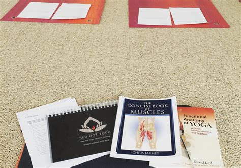 Anatomy Weekend Teacher Training Update Yoga Lightbulb