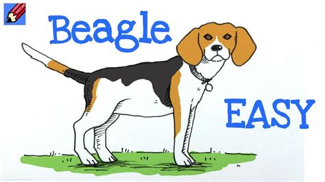 Draw A Dog Real Easy Beagle Easy Drawings Dibujos Faciles