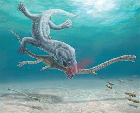 Fossils Show How Long Necked Reptiles Were Decapitated The New York Times