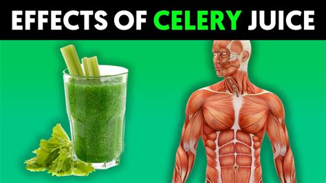 What Happens To Your Body When You Drink Celery Juice Every Morning