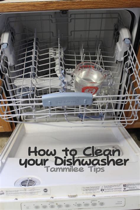 Top Cleaning Hacks Lydi Out Loud