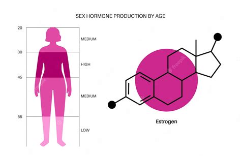 Tabla De Colores Del Nivel De Estrógeno Producción De Hormonas Sexuales Por Edad Infografía